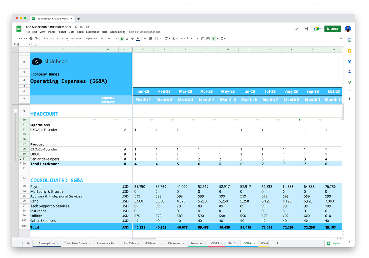 Financial Model preview