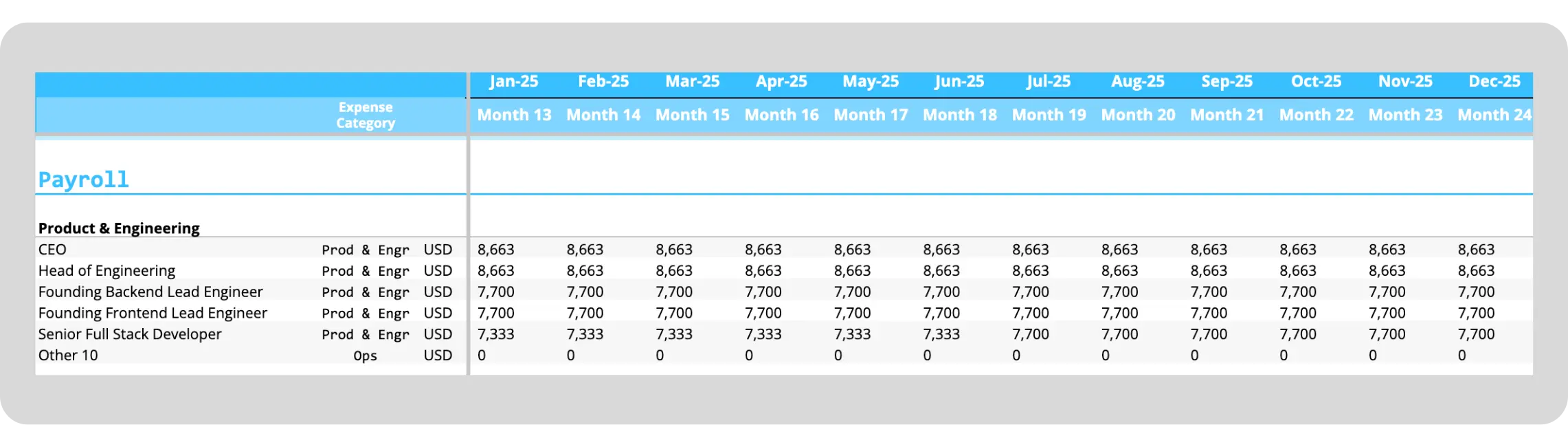 Financial Model Template: Payroll Tool